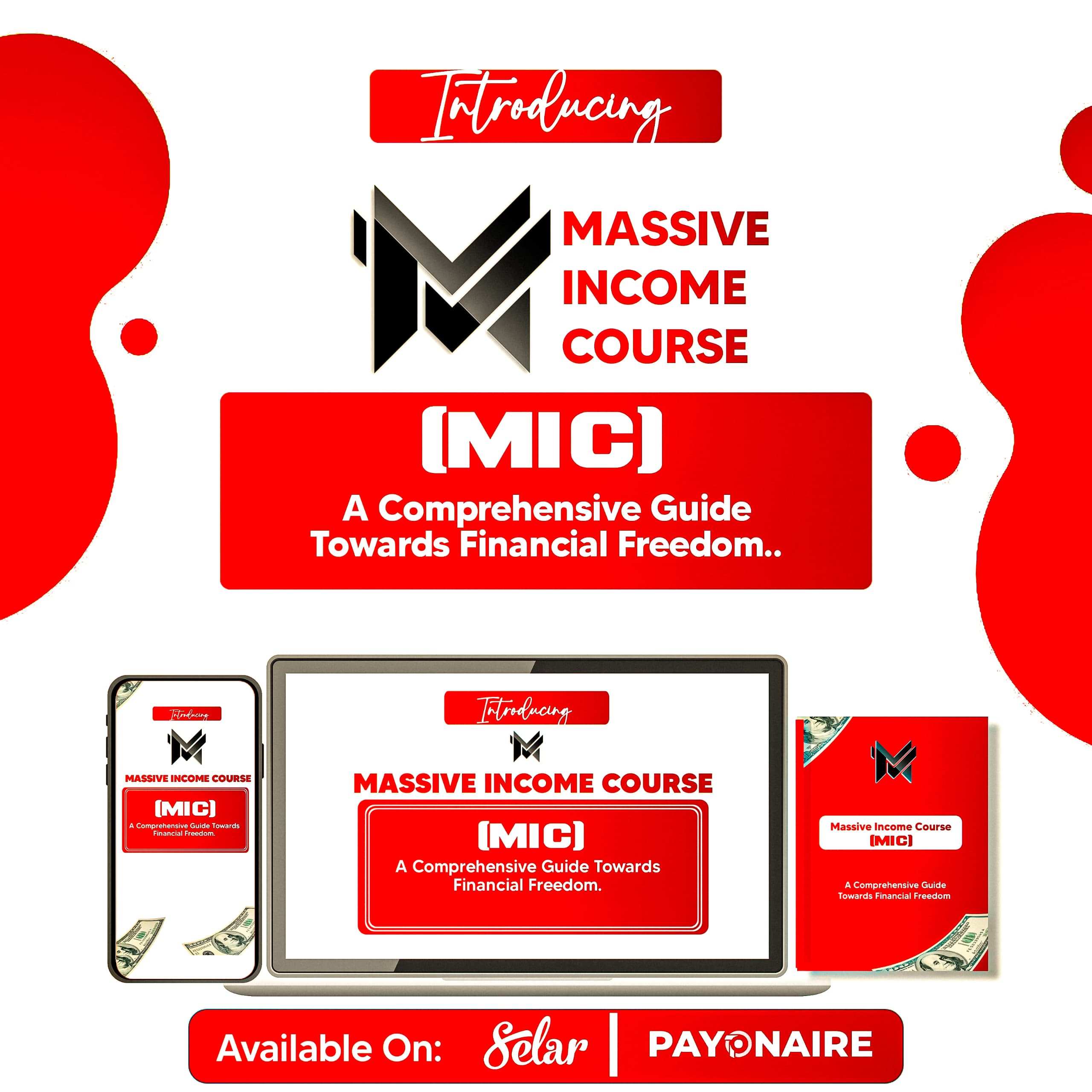 Massive income course (MIC)